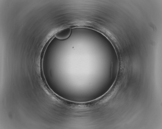 X0000113020986200908271430