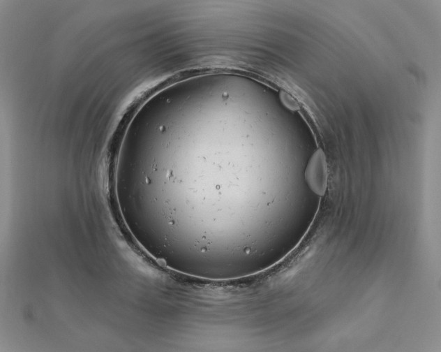 X0000113020987200908271430
