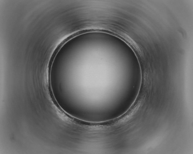 X0000113020988200908271430