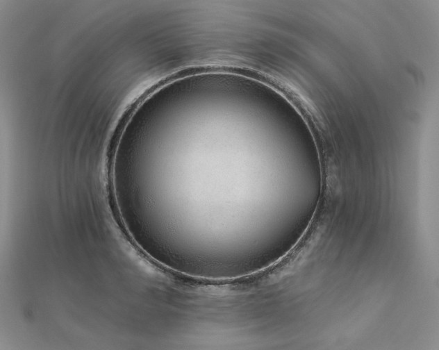 X0000113020990200908271430