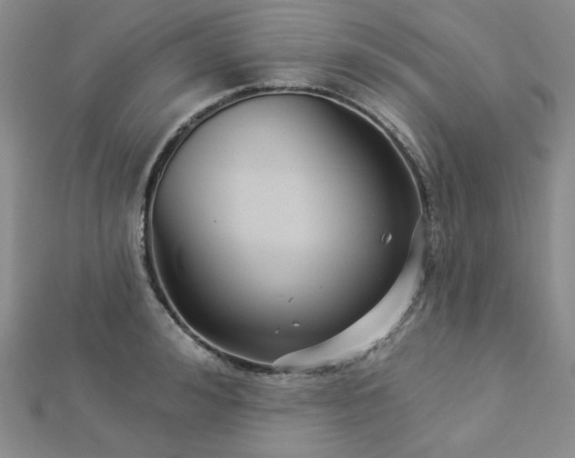 X0000113020992200908271430