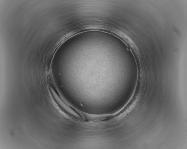 X0000113020993200908271430