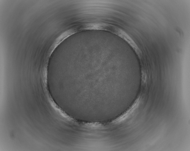 X0000113020994200908271430