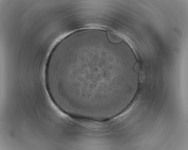 X0000113020995200908271430