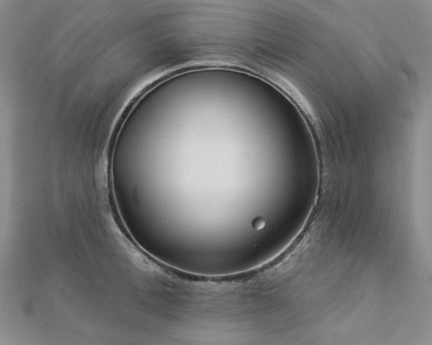 X0000113020996200908271430