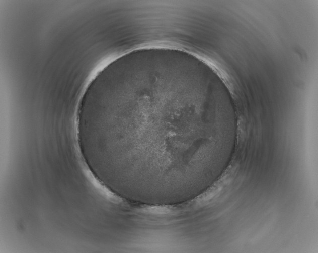 X0000113020998200908271430