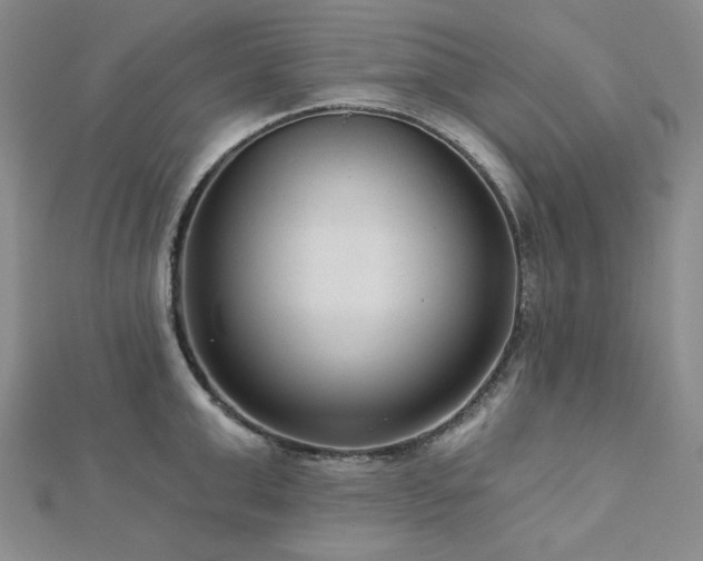 X0000113020999200908271430