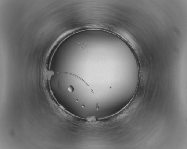 X0000113021000200908271430