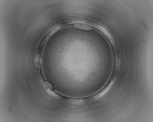X0000113021001200908271430