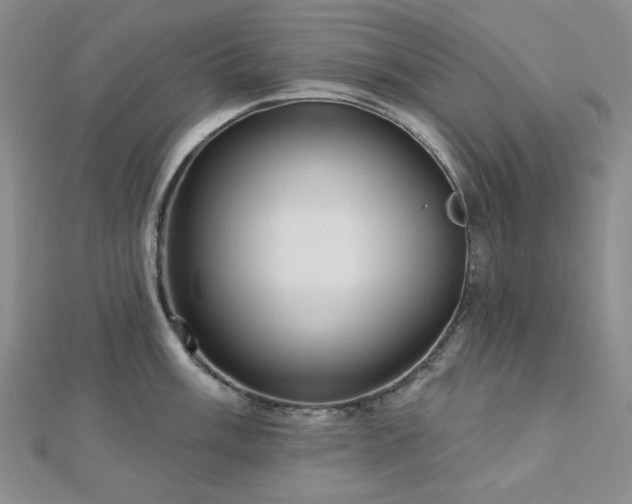 X0000113021003200908271430