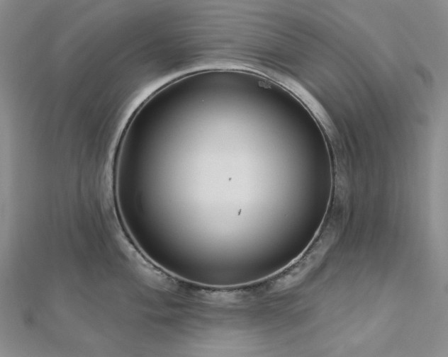 X0000113021004200908271430