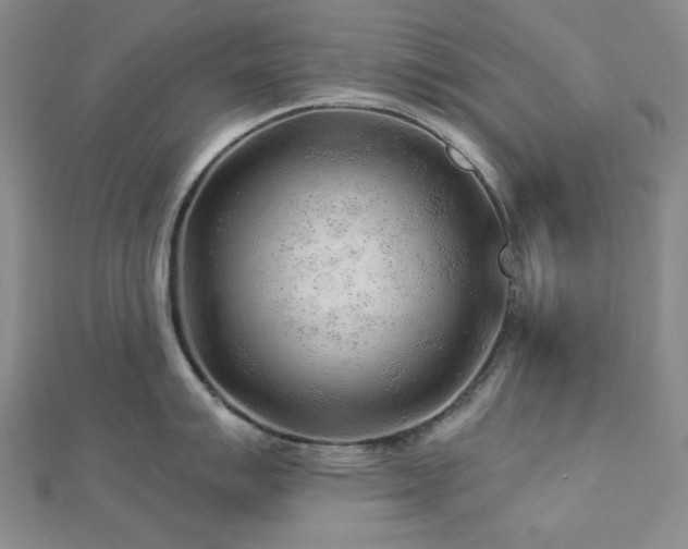 X0000113021007200908271429