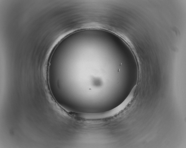 X0000113021008200908271429