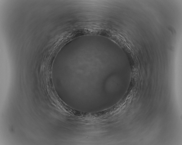 X0000113021009200908271429