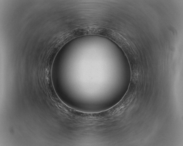 X0000113021010200908271429