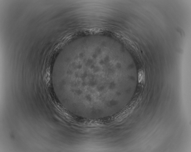 X0000113021011200908271429