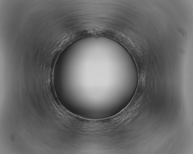 X0000113021012200908271429