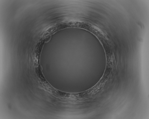 X0000113021013200908271429