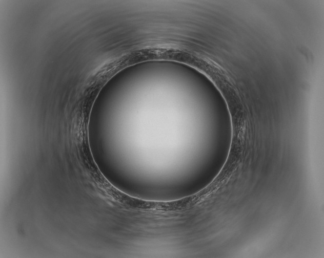 X0000113021014200908271429
