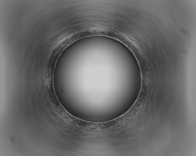 X0000113021015200908271429