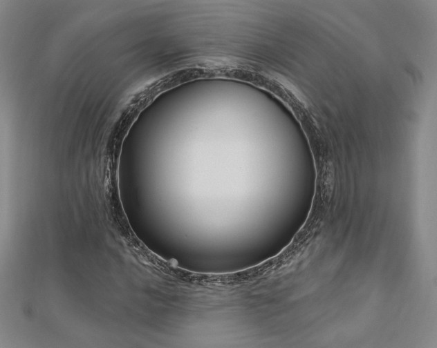 X0000113021016200908271429