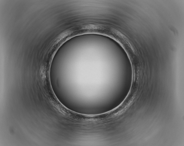 X0000113021017200908271429