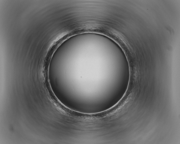 X0000113021018200908271429