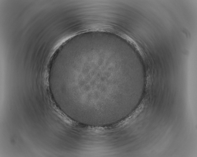 X0000113021019200908271429
