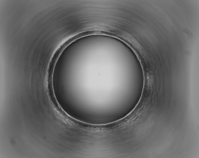 X0000113021020200908271429