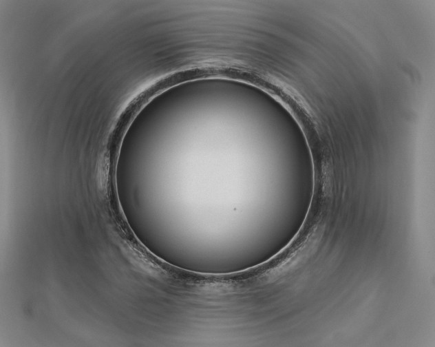 X0000113021021200908271429