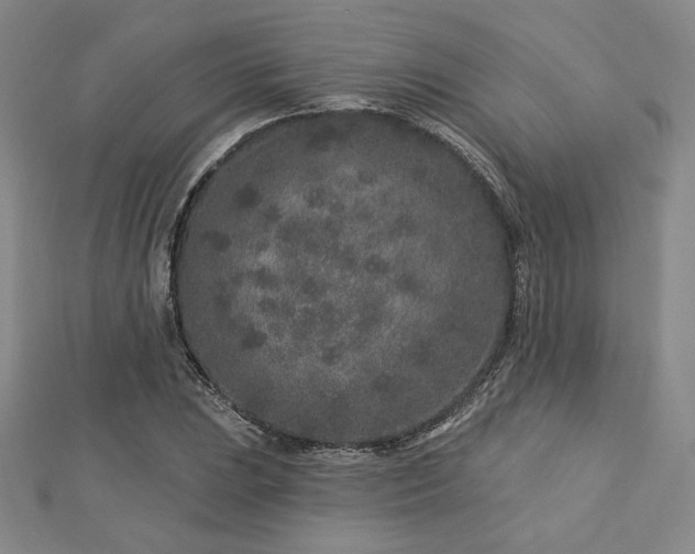 X0000113021023200908271429