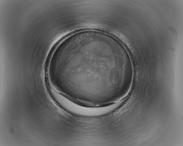 X0000113021024200908271429
