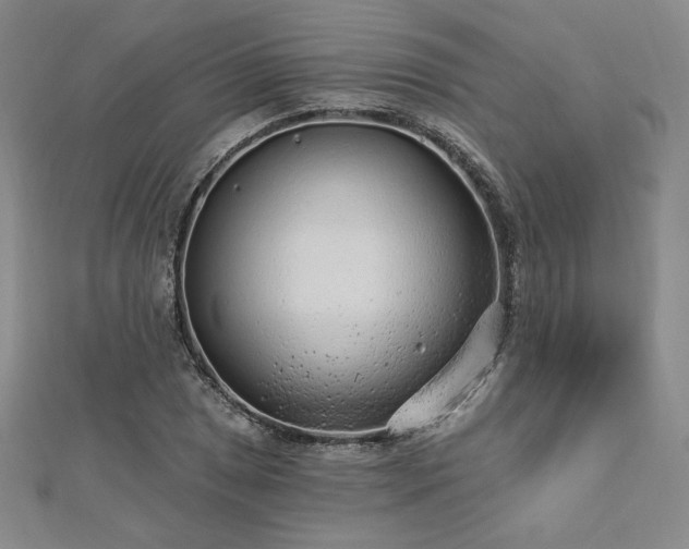 X0000113021025200908271429