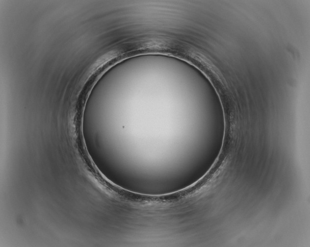 X0000113021026200908271429