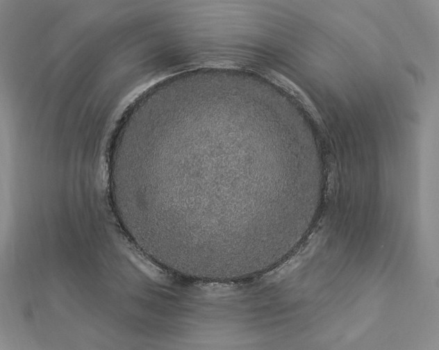 X0000113021027200908271429