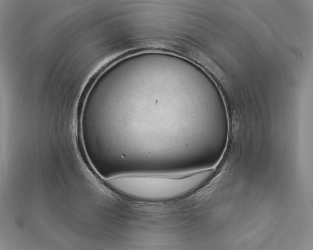 X0000113021028200908271429
