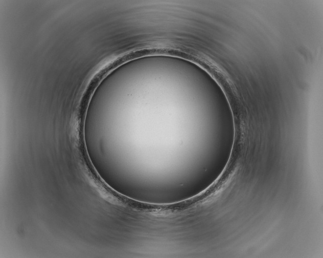 X0000113021029200908271429