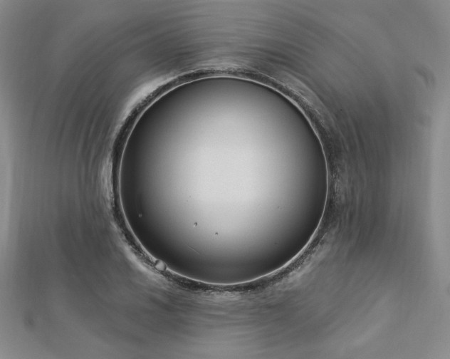 X0000113021030200908271429