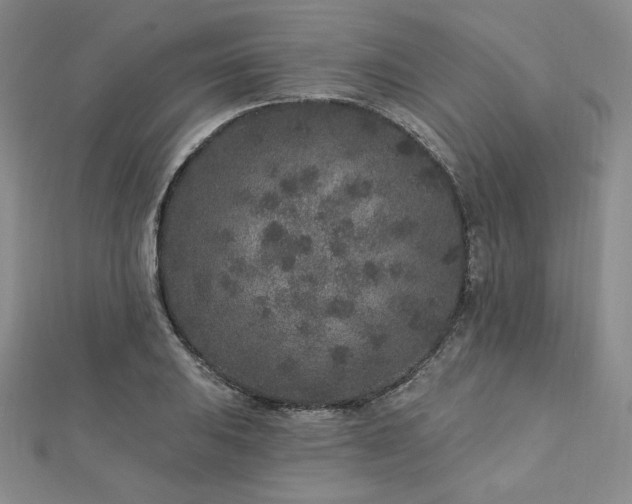 X0000113021031200908271429