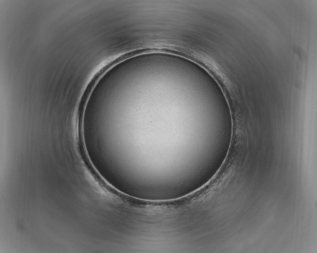 X0000113021032200908271429