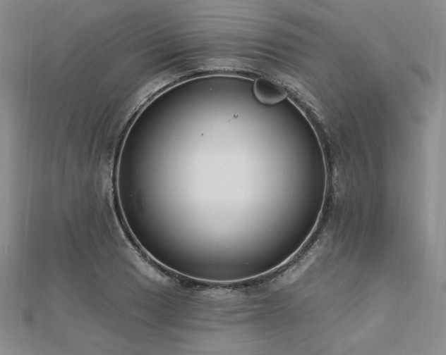 X0000113021033200908271429