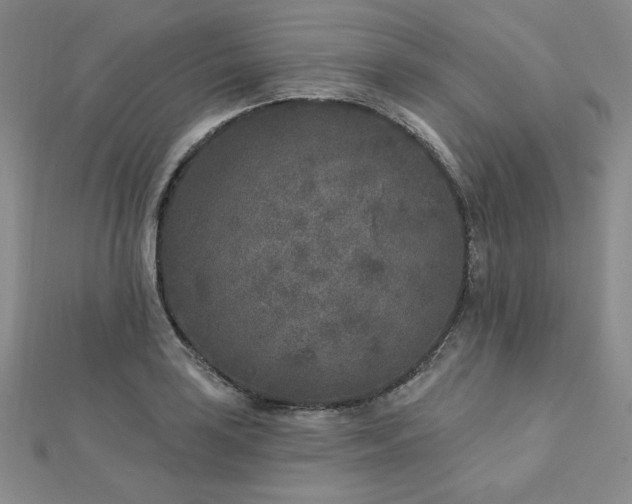 X0000113021035200908271429