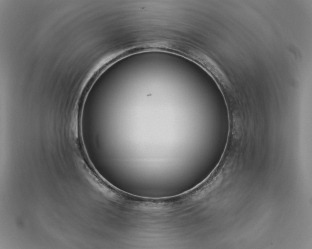 X0000113021036200908271429