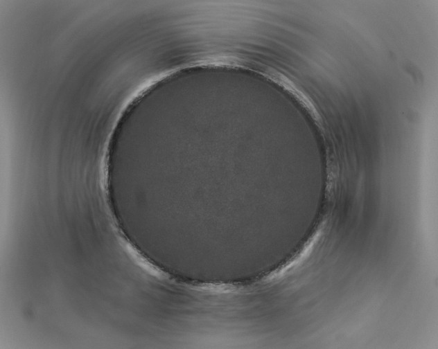 X0000113021037200908271429