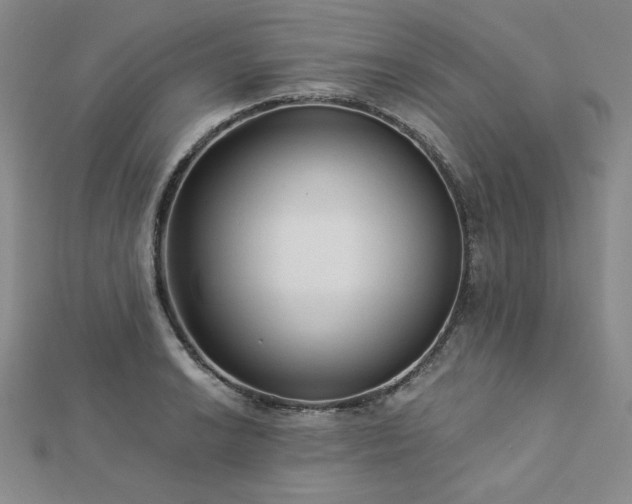 X0000113021038200908271429