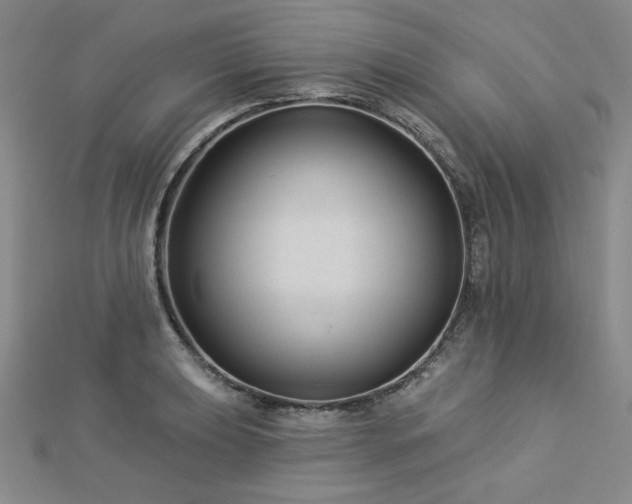 X0000113021039200908271429