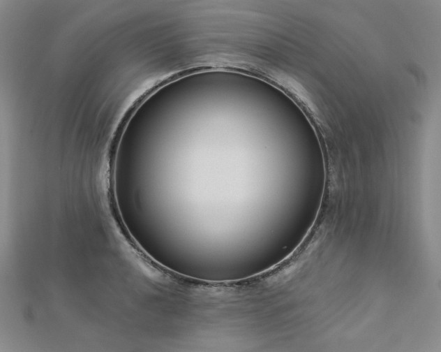 X0000113021040200908271429