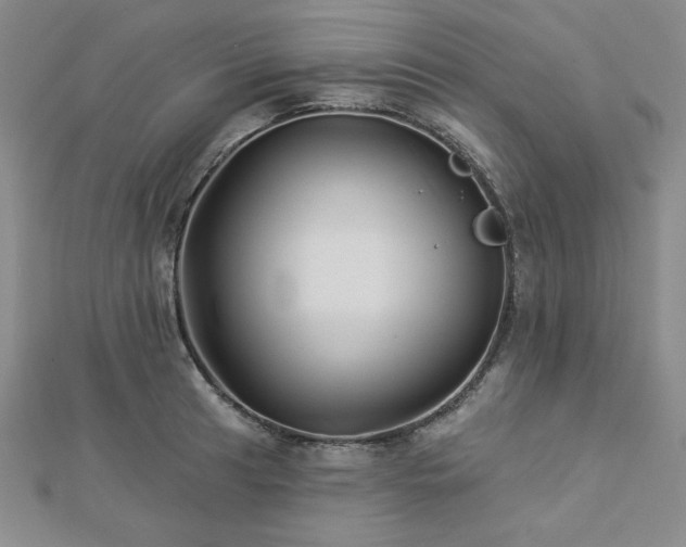 X0000113021041200908271429