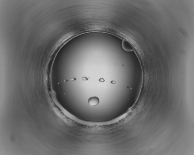 X0000113021042200908271429