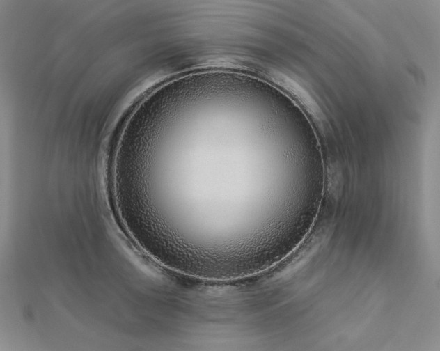 X0000113021043200908271429